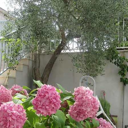 Villa-srece Apartment