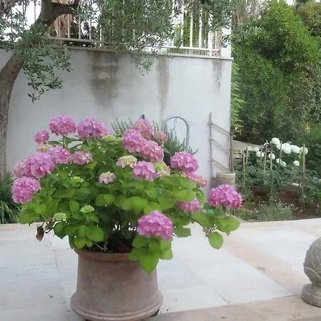 Villa-srece Sumartin
