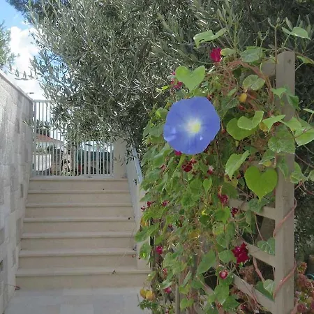 Villa-srece * Sumartin